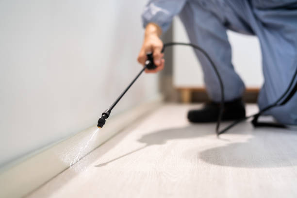 Licensed Termite Control service in Mount Morris, MI - Nex Pest Control