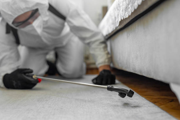 Professional Termite Control technician working in Mount Morris, MI