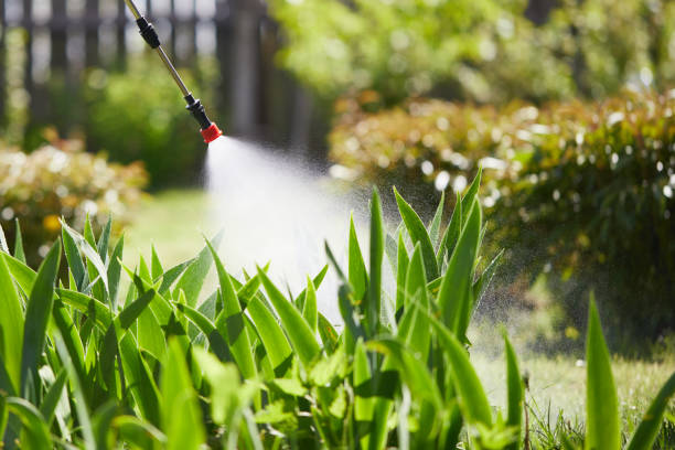 24/7 Emergency Termite Control experts in Mount Morris, MI
