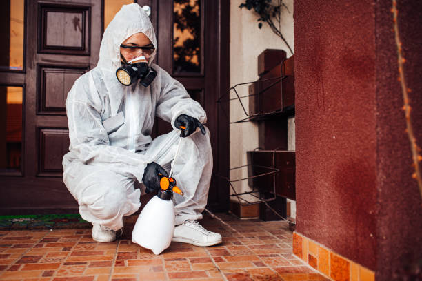 Reliable Termite Control contractor in Mount Morris, MI by Nex Pest Control