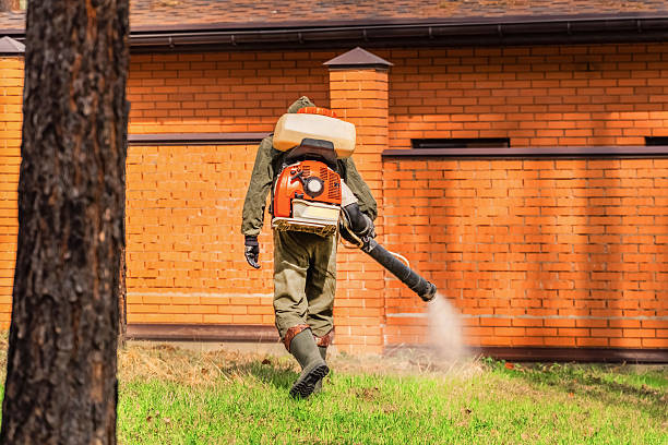 Top rated local Termite Control specialists in Mount Morris, MI